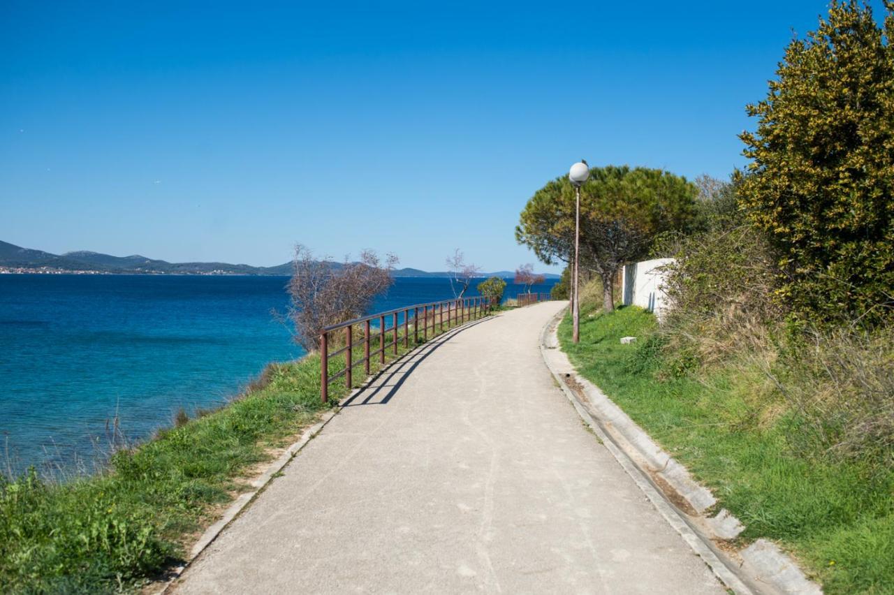 Tara * Zadar